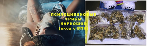 экстази Няндома