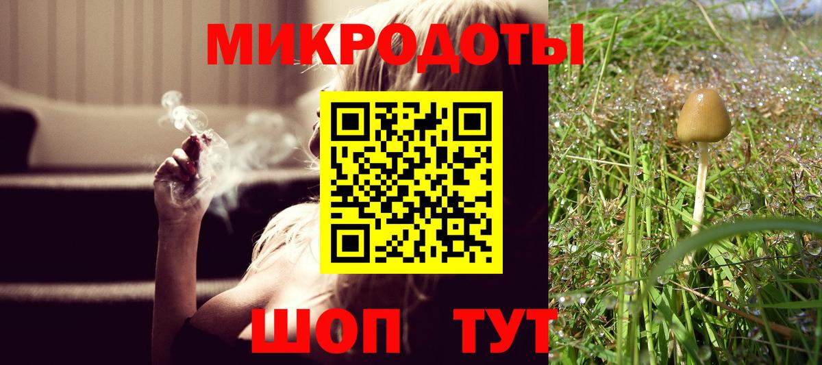 Галлюциногенные грибы Psilocybine cubensis  Псилоцибиновые грибы MAGIC MUSHROOMS  Лесозаводск 