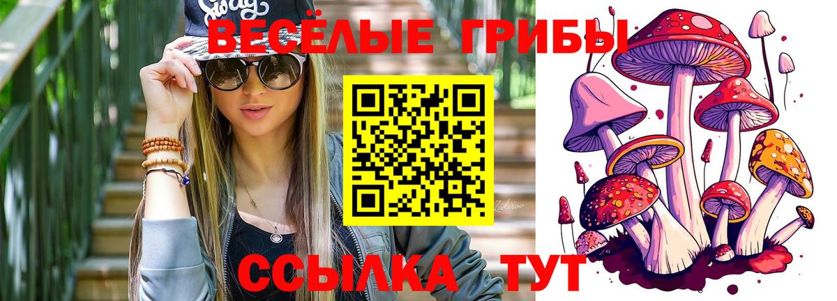 где купить наркоту  Псилоцибиновые грибы мицелий  Вход с VPN  Псилоцибиновые грибы Psilocybine cubensis  Лесозаводск 